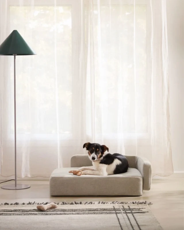 Skal din hund også leve det ekstra luksuriøse liv? 🤩 Så se lige denne super fine mini sofa til hunde, er den ikke bare for sød? 🫶