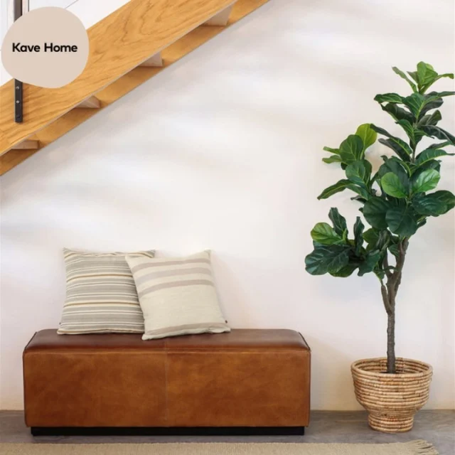 Glemmer du hele tiden at vande dine planter? Så er en kunstig plante en perfekt løsning til dig! Ficus fra Kave Home er designet med et stilfuldt og naturligt look - og dens blade forbliver grønne 😉🪴