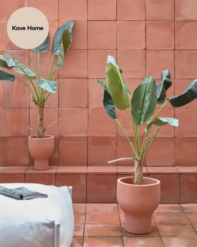 Har dine planter det også med ikke at leve så længe? 😵‍💫 ⁠
Så er den kunstige plante Banano fra Kave Home, den perfekte løsning til dig! Denne flotte og naturlignende plante er det perfekte valg til dig, som elsker stilen, og det liv en plante bidrager med til hjemmet. Planten er produceret i plastic, som er designet med et øje for detaljen. Det ligner derfor en rigtigt plante 💚🌿
