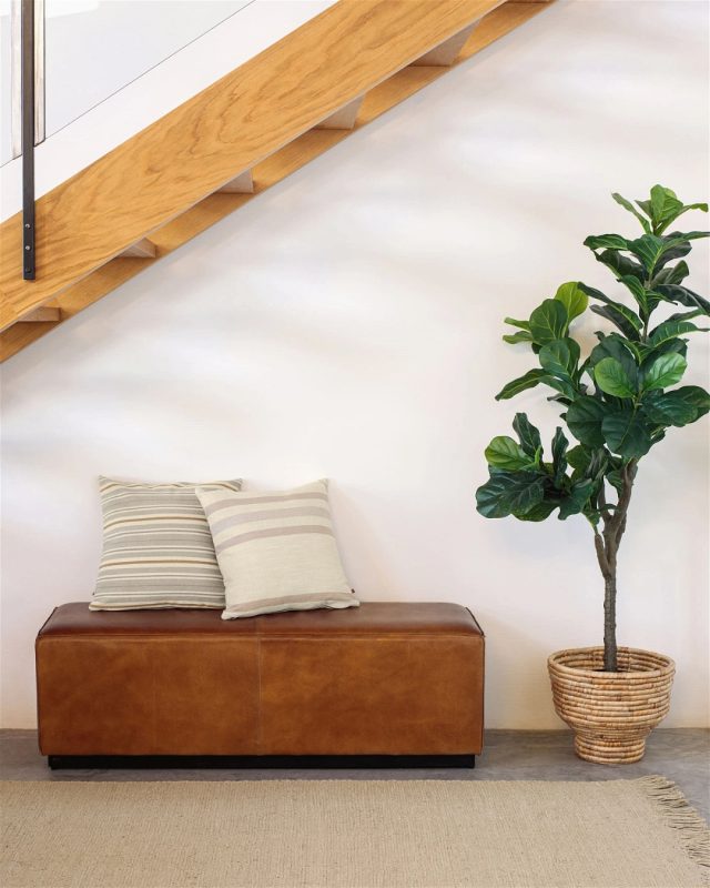 Glemmer du hele tiden at vande dine planter? Vi har den perfekte løsning til dig. Denne kunstige plante er designet med et stilfuldt og naturligt look 🪴⁠ Her ses “Ficus” fra Ficus-serien af Kave Home. 
⁠
Bladene har en naturlig grøn, og stammen er designet med samme præcision. Krukken er sort, men kan skiftes ud så den passer perfekt ind i din stil. Denne plante er til dig, som ønsker en plante der forbliver grøn 💚⁠
⁠
⁠#stueindretning #stueinspiration #hyggehjørne #nordicliving #sofastyle #stuedesign #interiør #boliginspiration #skandinaviskdesign #hygge⁠ #likehomedk #scandihome #scandiliving #nordichomes #interiorlovers #interiørmagasinet
⁠