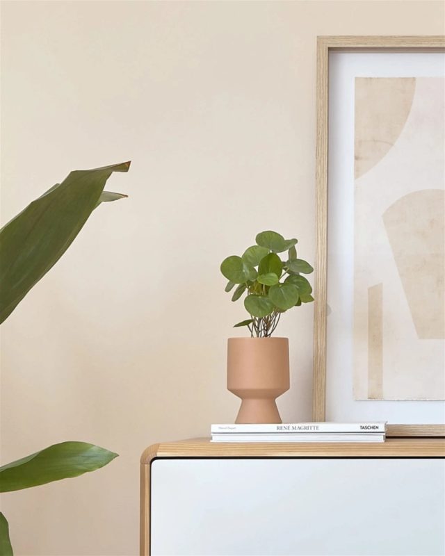Denne kunstige Bailey-plante fra Kave Home er en indbydende tilføjelse til ethvert hjem eller entré, der søger at tilføre et strejf af grønt med minimal vedligeholdelse 🪴Planten præsenterer sig elegant i en nøgen rosa keramikpotte, der tilføjer en moderne og nordisk æstetik til dens omgivelser. ⁠
⁠
#entréinspiration #entréindretning #opbevaring #nordicentry #spejldesign #boliginspiration #hjemmedetaljer #skandinaviskdesign #entréstyle #velkommenhjem